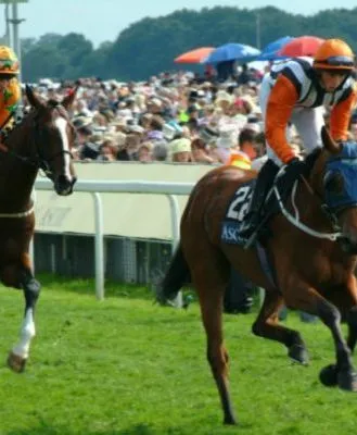 Two jockeys on racehorses in colorful silks competing on a grassy racecourse, with a crowd of spectators and umbrellas in the background.