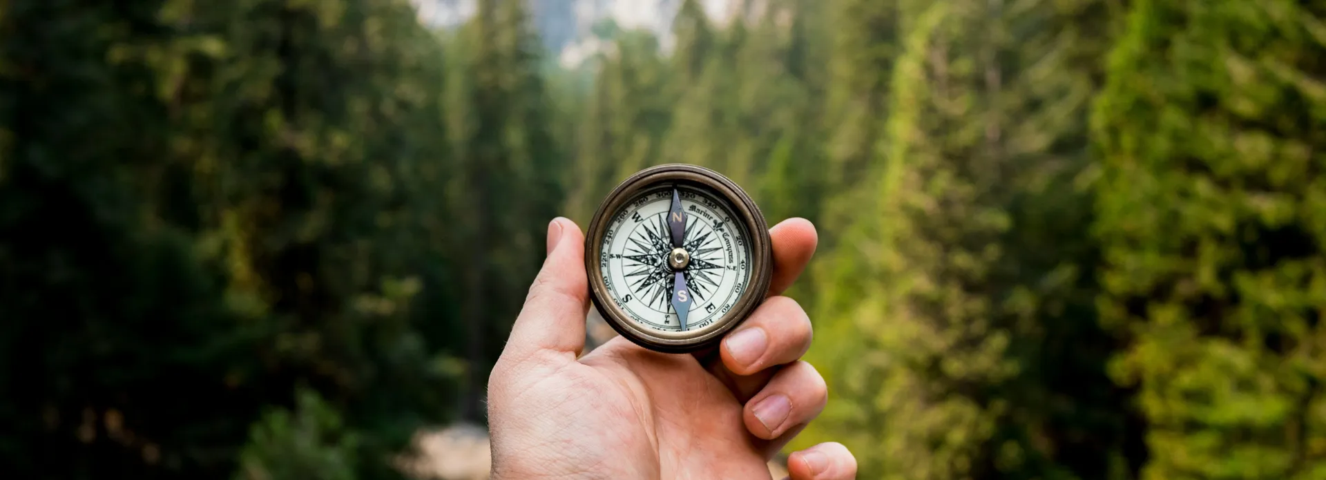 Hand holding a compass with a forest and mountains in the background