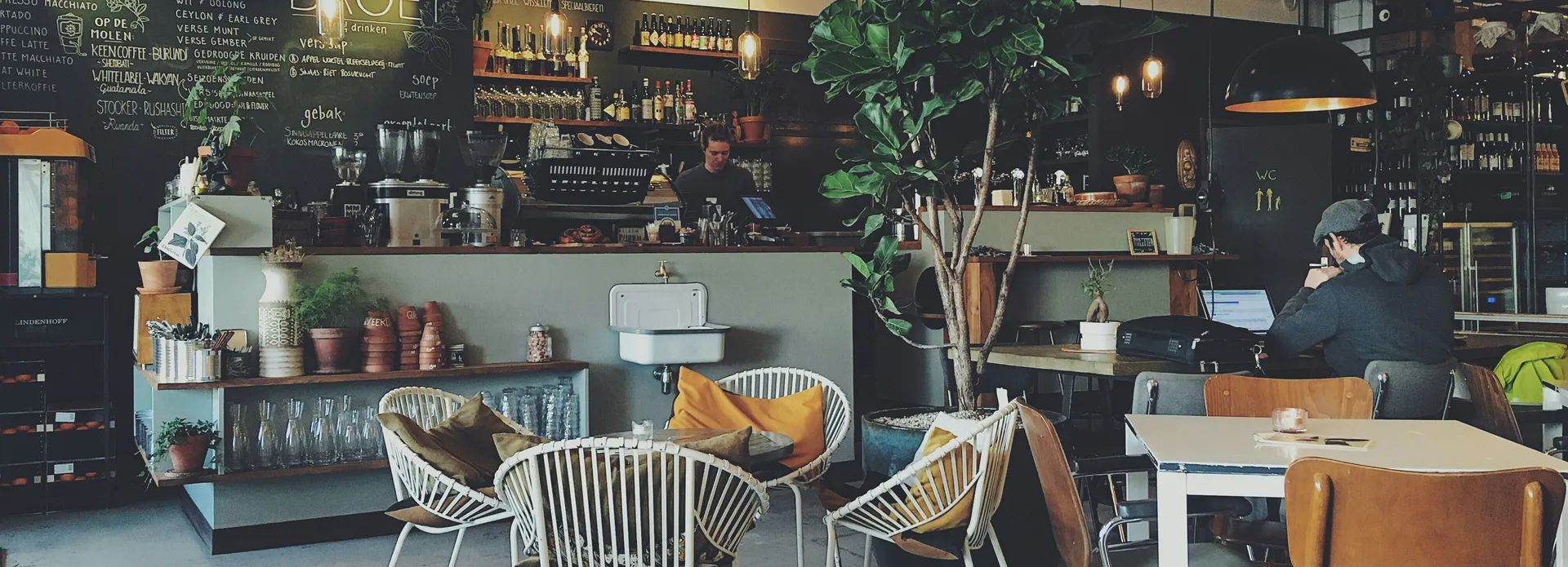 Cozy modern cafe with indoor plants, a barista behind the counter, and patrons working on laptops.