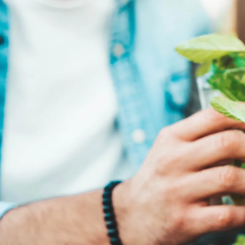 Close-up of a hand holding a drink with fresh mint leaves