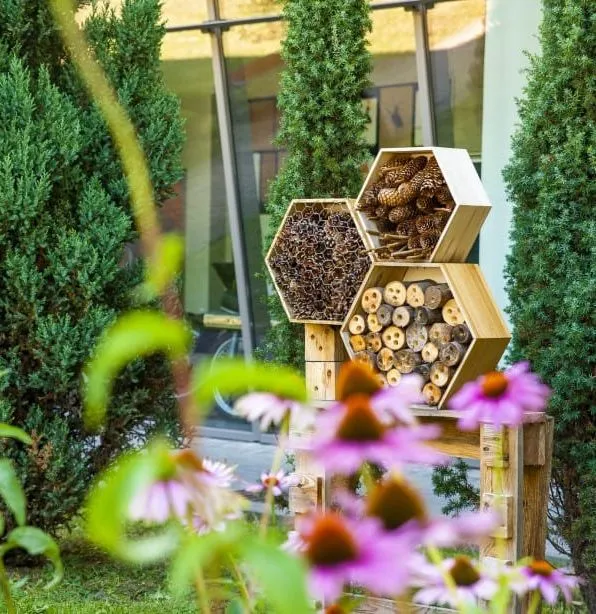 Insect hotel made of hexagonal wooden boxes filled with natural materials, surrounded by flowers and shrubs.