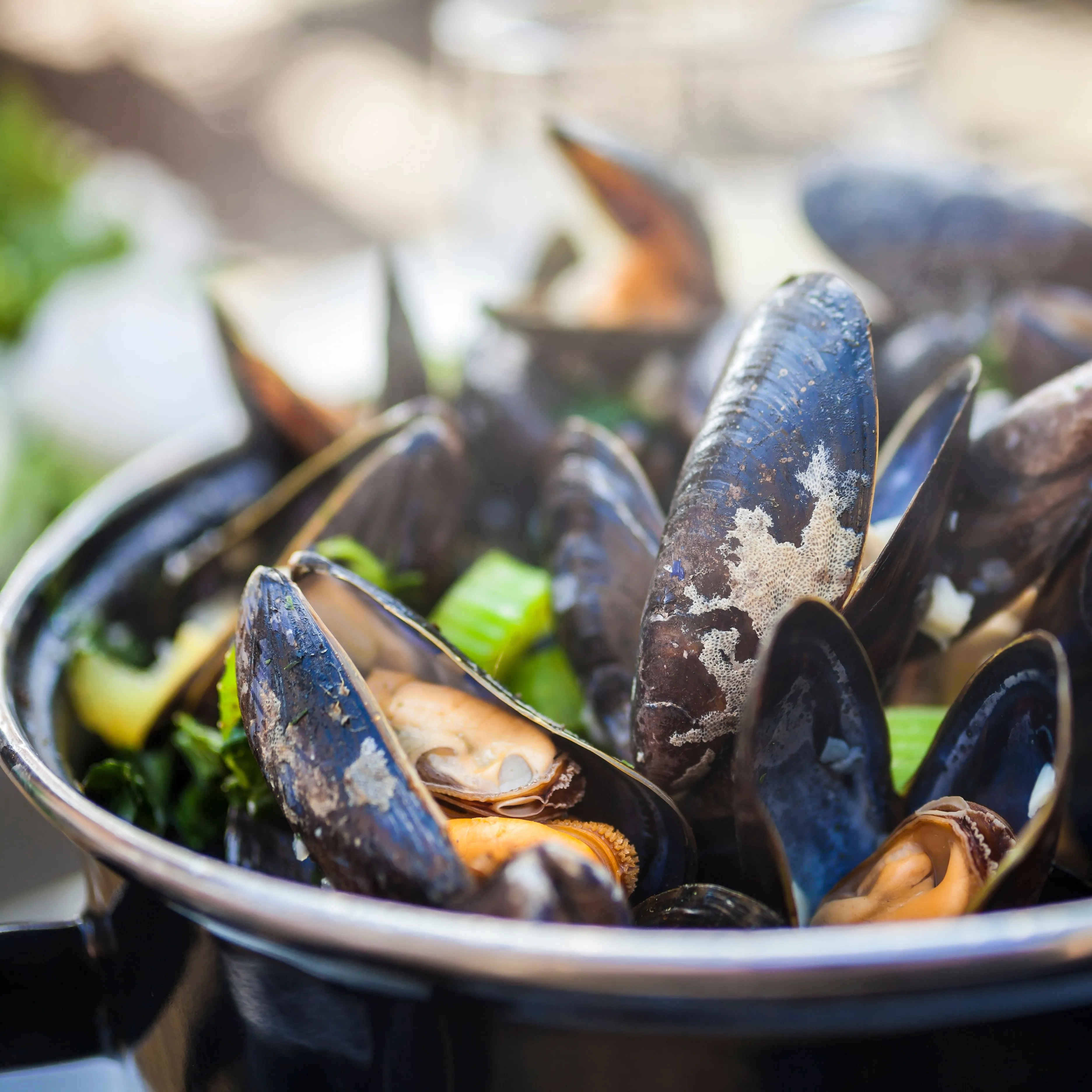 Close-up of cooked mussels in a black pot with herbs and celery