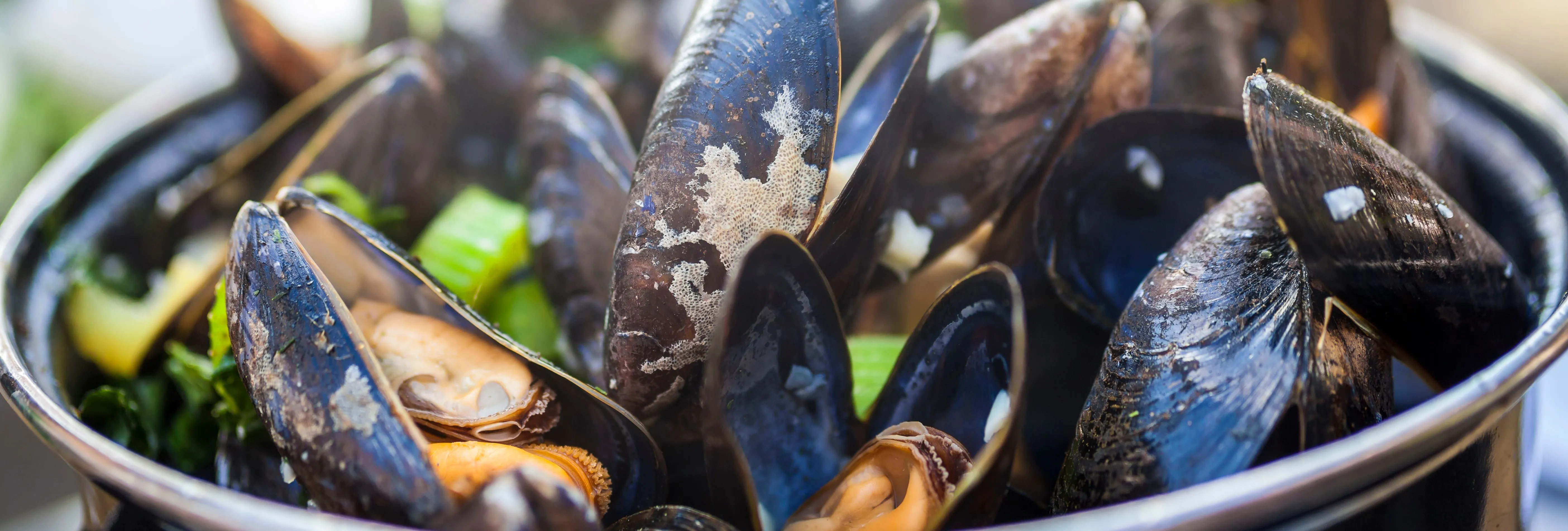 Close-up of cooked mussels in a black pot with herbs and celery