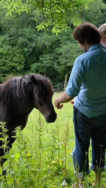 A man holding a young child feeds a dark brown pony in a lush green meadow, surrounded by tall grass and trees. The pony gazes at them while they interact.