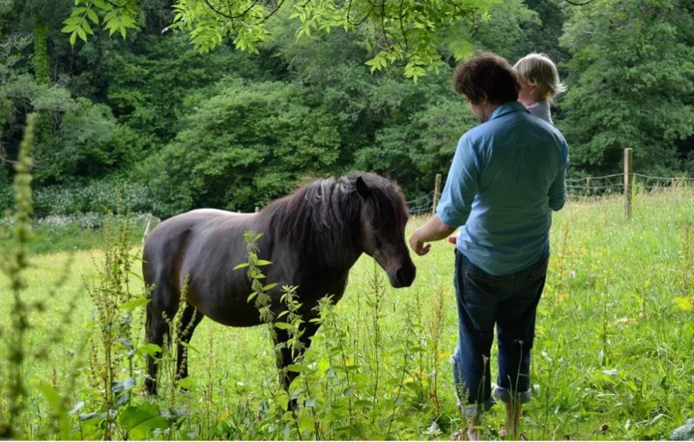 A man holding a young child feeds a dark brown pony in a lush green meadow, surrounded by tall grass and trees. The pony gazes at them while they interact.