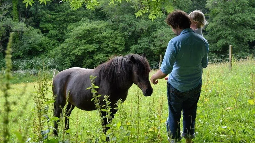 A man holding a young child feeds a dark brown pony in a lush green meadow, surrounded by tall grass and trees. The pony gazes at them while they interact.
