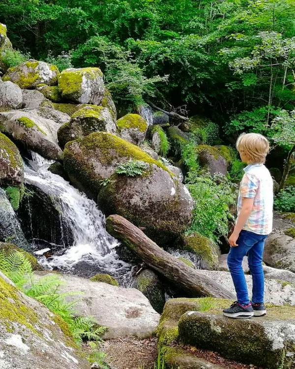 Two children stand on moss-covered rocks, admiring a small cascading waterfall flowing through a lush green forest, surrounded by large boulders and dense foliage.