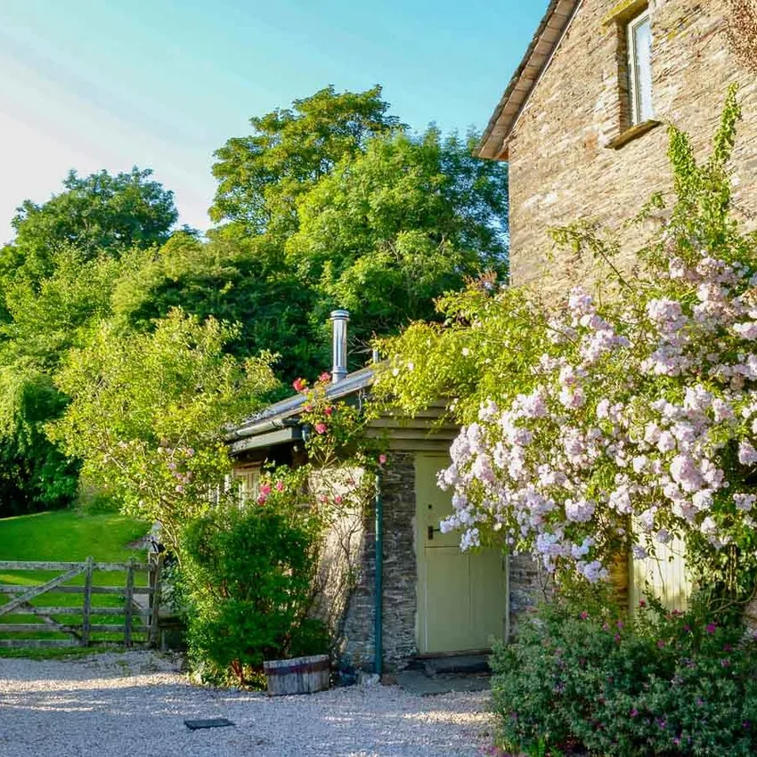 Blossom trees outside house