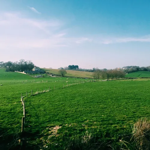 Rolling green fields under a clear blue sky with scattered sheep, a winding fence, and a farmhouse nestled among trees in the distance.