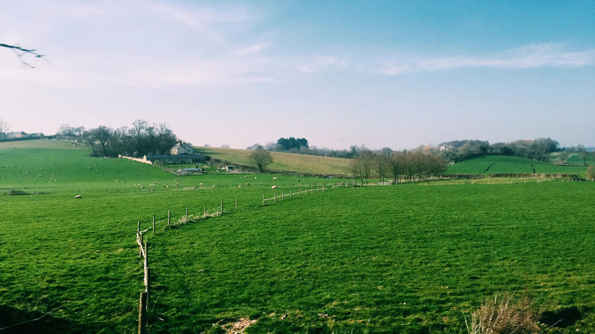 Rolling green fields under a clear blue sky with scattered sheep, a winding fence, and a farmhouse nestled among trees in the distance.