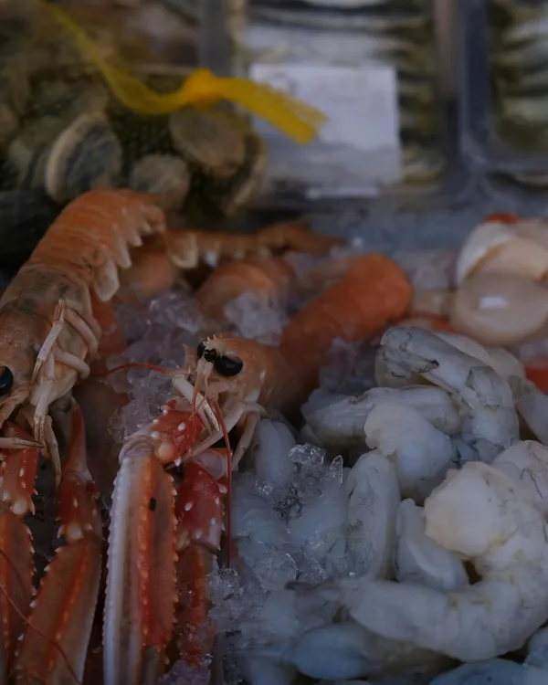 Catch of the Day - Flear Farm Cottages