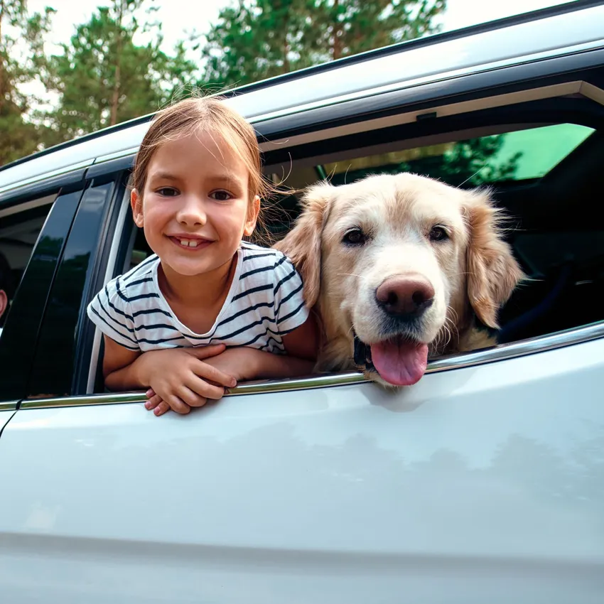 family-days-out.jpg