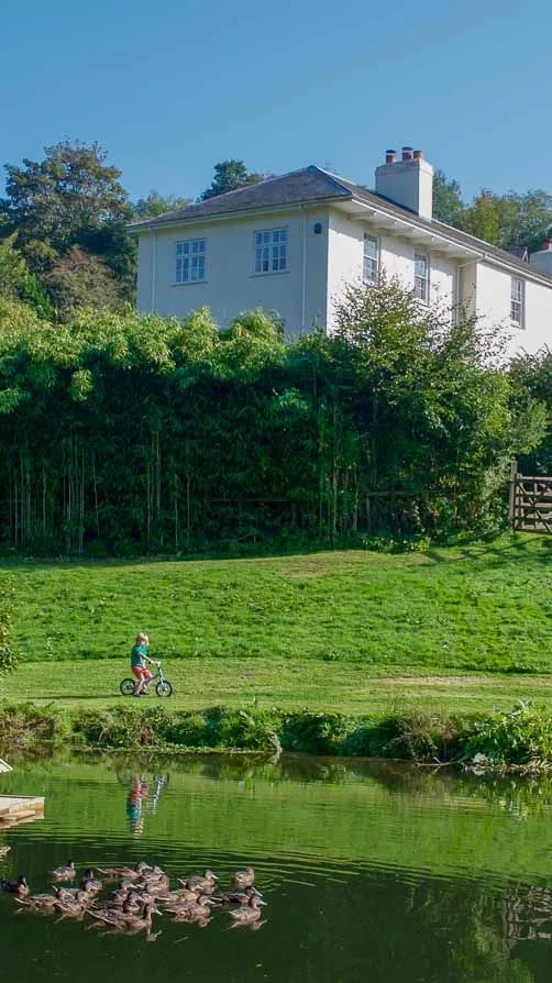 A scenic countryside view with a pond, a floating duck house, and a group of ducks. A child rides a bike on a grassy path, with a white house nestled among trees.