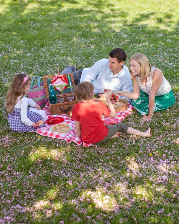 A family enjoys a picnic on a red-and-white checkered blanket in a grassy park, surrounded by scattered pink petals, with a picnic basket filled with food and drinks.