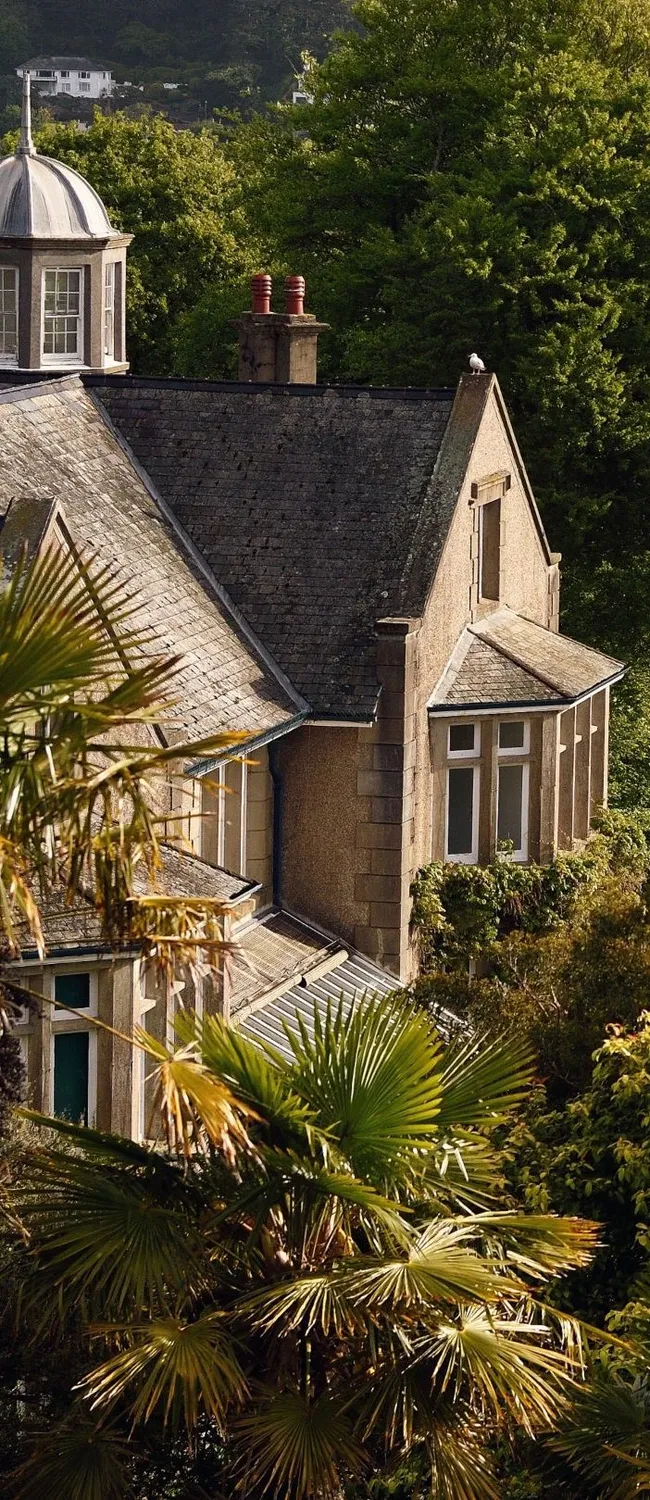 Overbeck’s Garden in South Devon featuring dense greenery, palm trees, and a coastal view across the water to hillside villages.