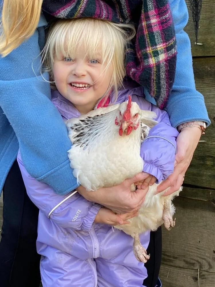 A smiling young girl in a purple snowsuit holds a white chicken with red wattles, with the support of an adult in a blue coat and plaid scarf standing behind her.