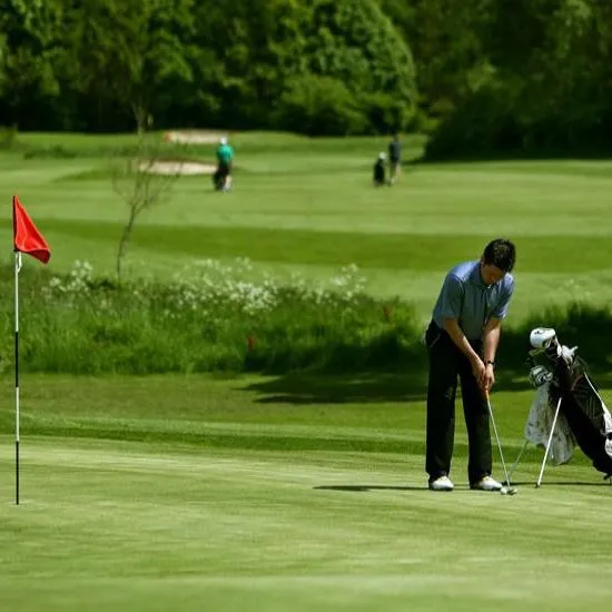Golfer putting beside a red flag on a green golf course