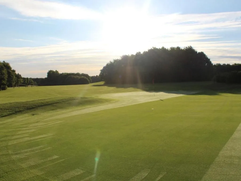 Sunlit golf course green and fairway bordered by mature trees
