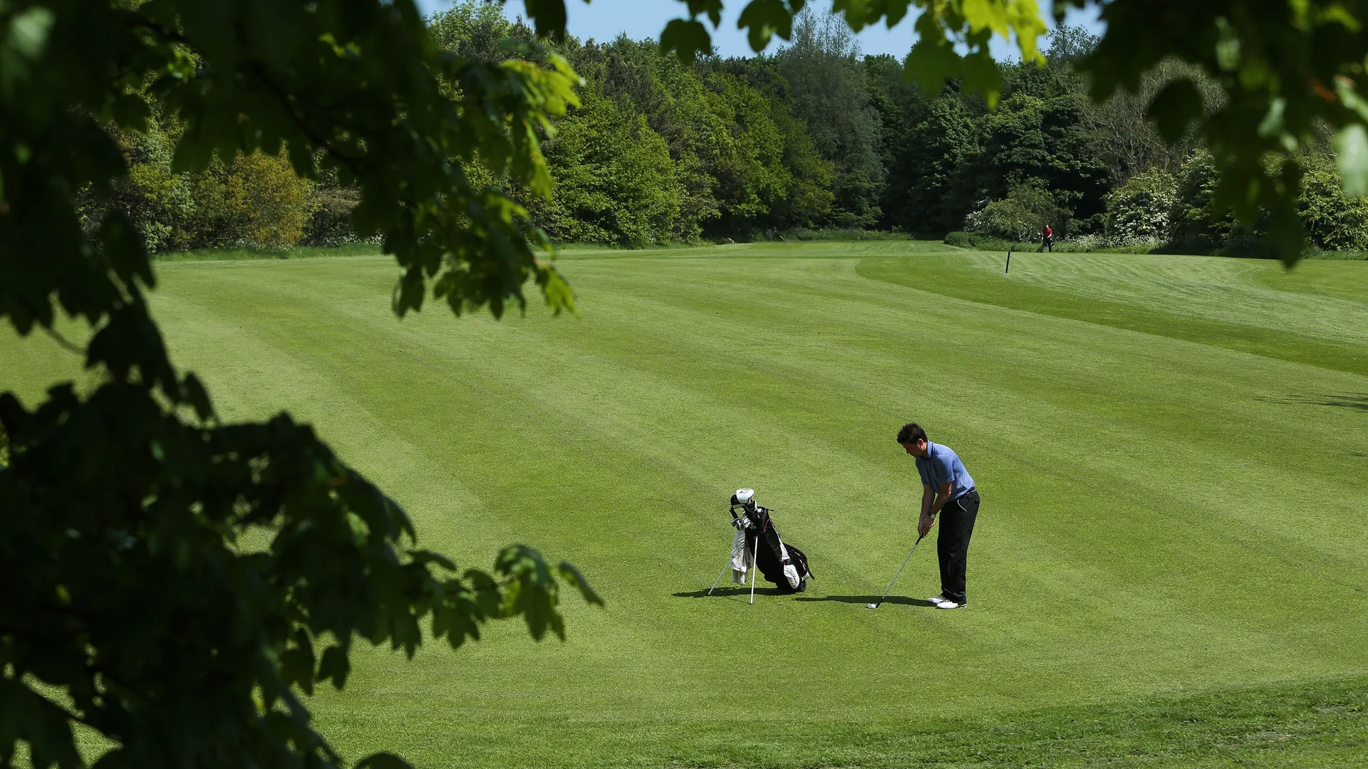 Golfer preparing a shot on a green fairway framed by leafy trees.