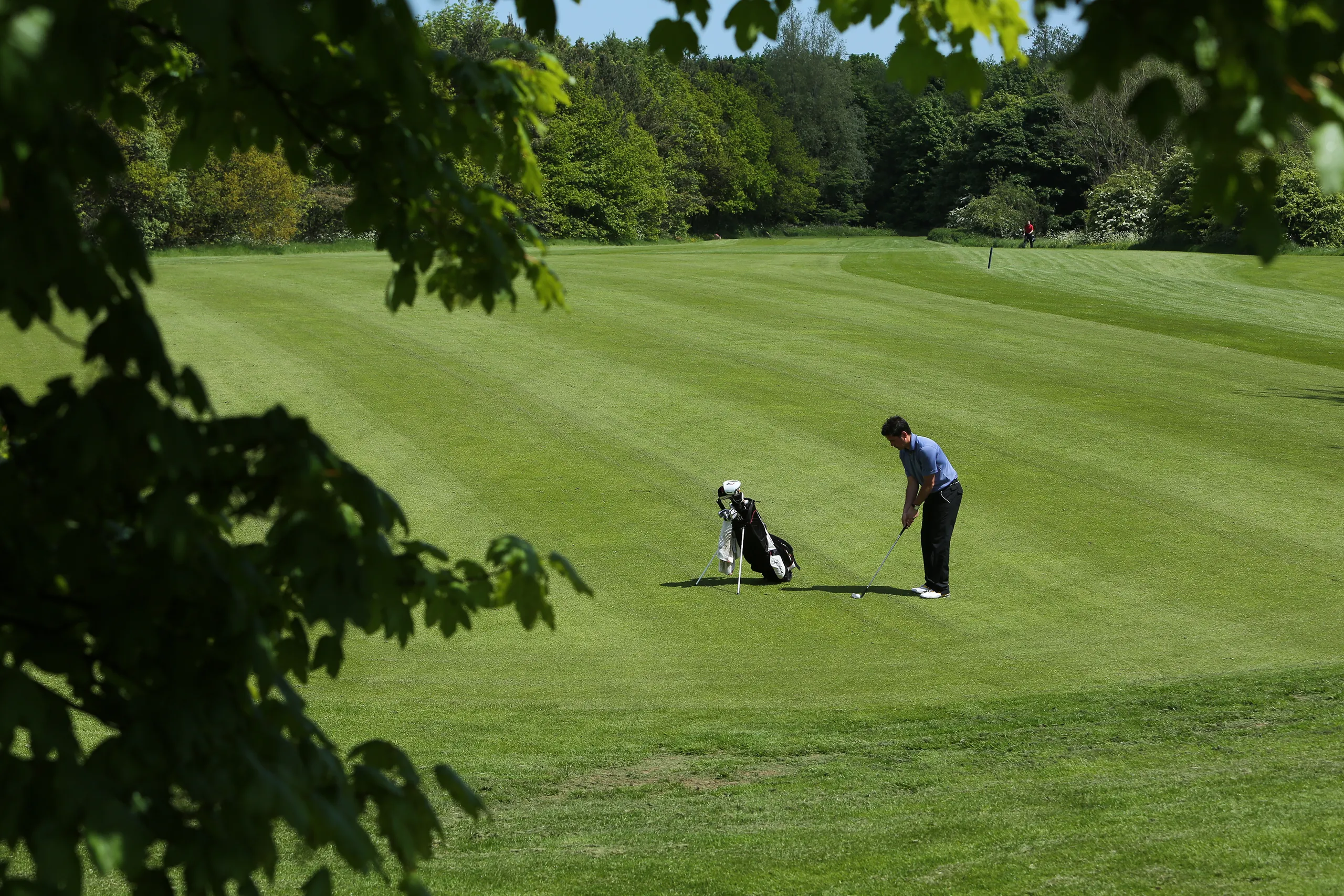Golfer preparing a shot on a green fairway framed by leafy trees.