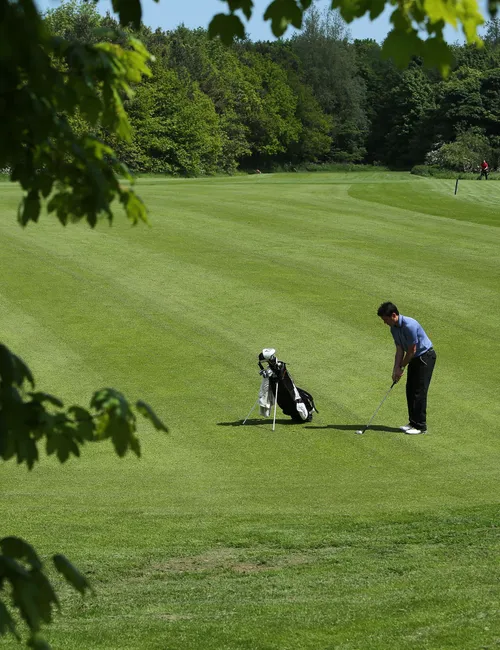 Golfer preparing a shot on a green fairway framed by leafy trees.