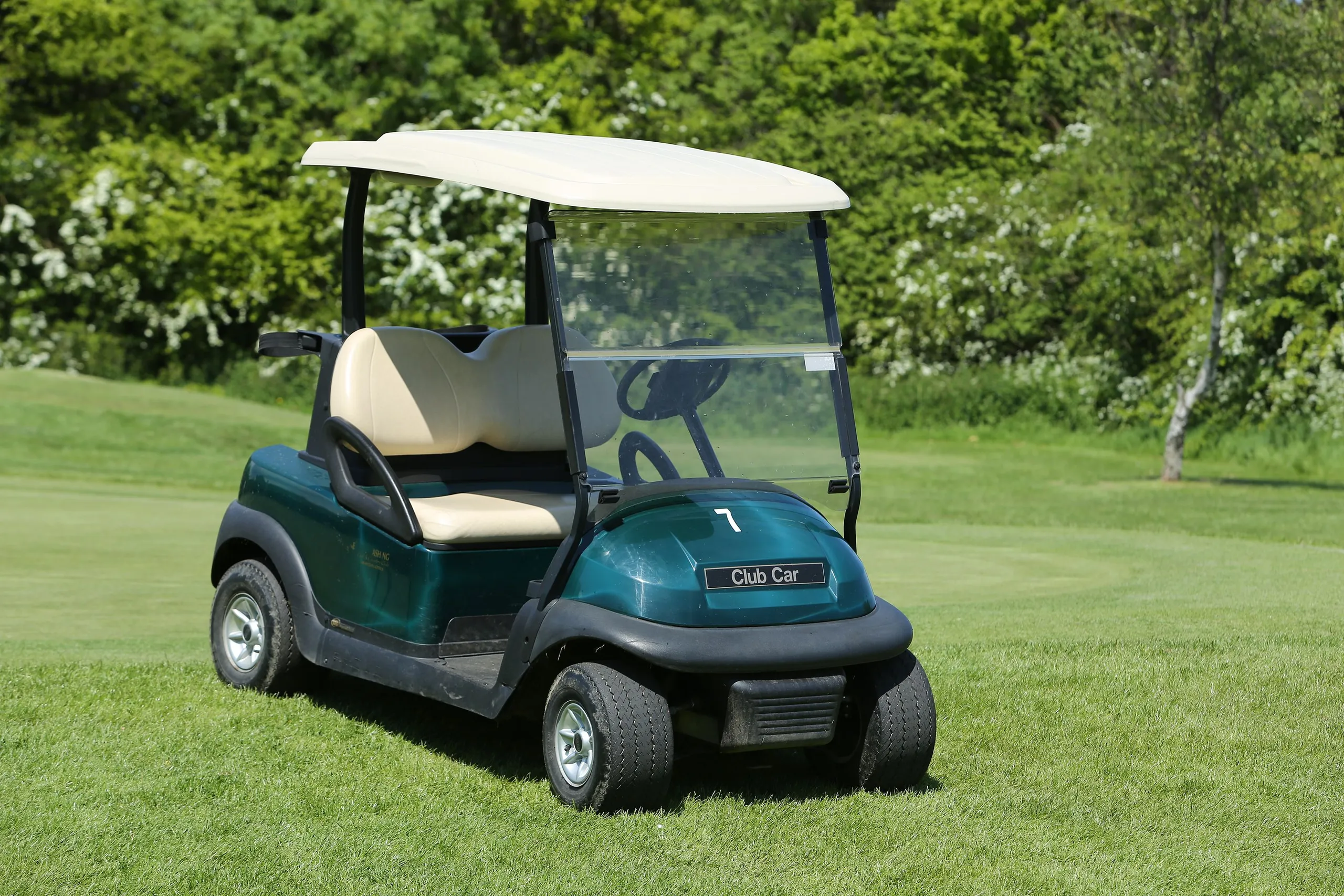 Green golf buggy parked on a manicured golf course beside leafy trees