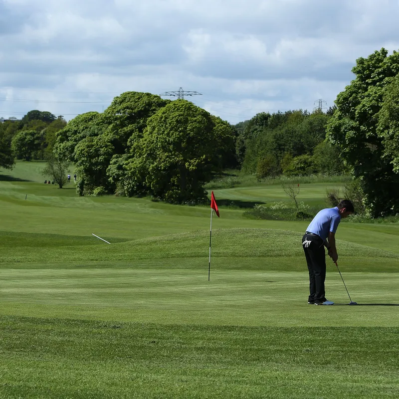 Golfer putting beside a red flag on a green course surrounded by trees