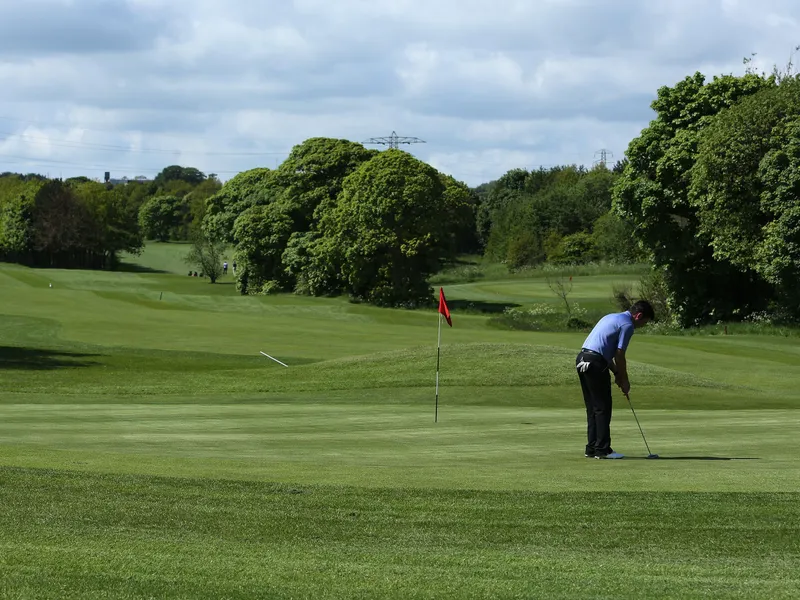 Golfer putting beside a red flag on a green course surrounded by trees