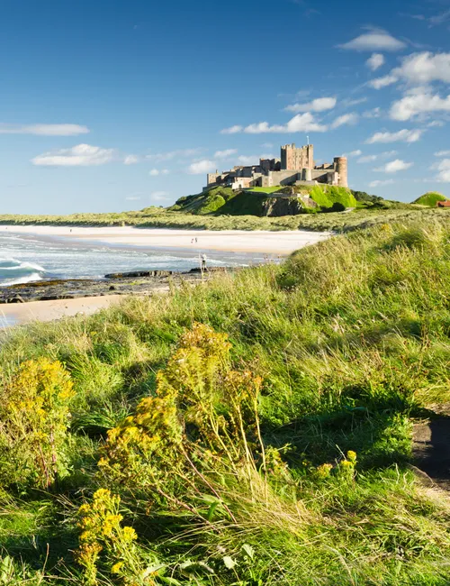 Wooden bench overlooking Bamburgh Castle, sandy beach and the North Sea under a blue sky.