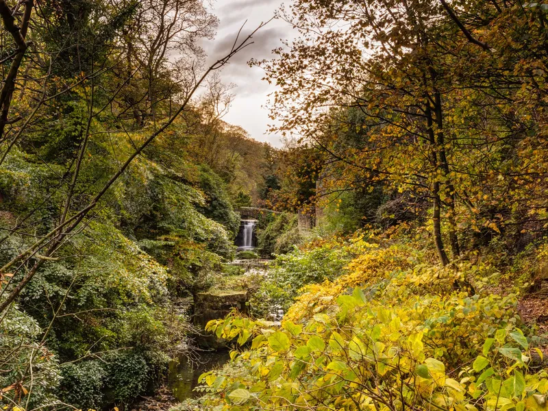 Small waterfall flowing through a leafy woodland in autumn