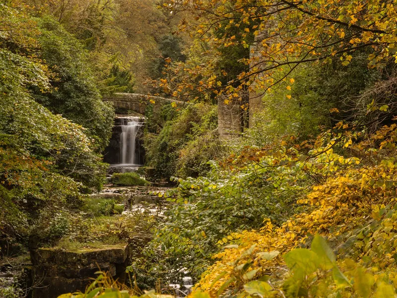Small waterfall beneath a stone bridge surrounded by golden autumn woodland