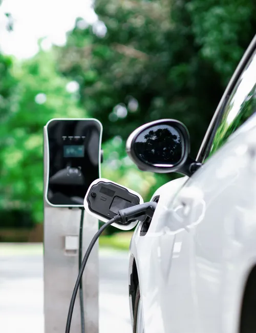 White electric car charging at an outdoor charging station beside green trees