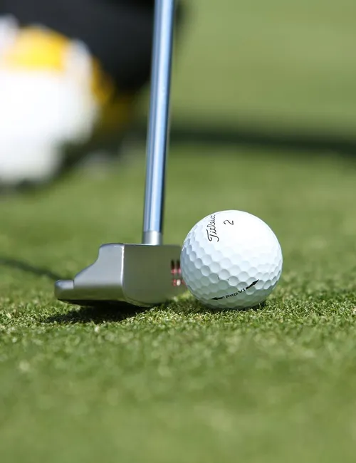 Close-up of a golf putter beside a white golf ball on a manicured green