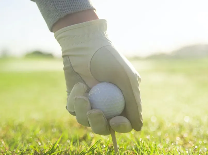 Green Fee