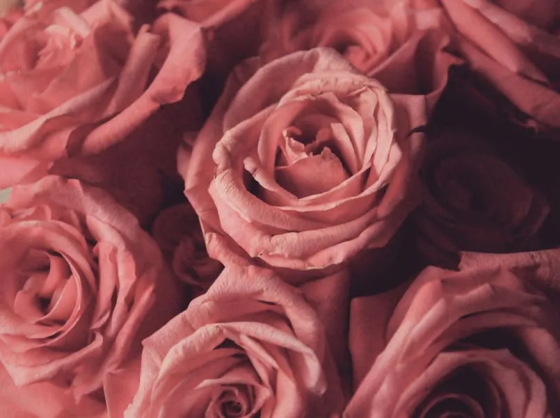 Valentines 2