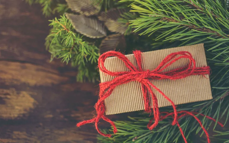 Gift voucher in Christmas tree with red ribbon