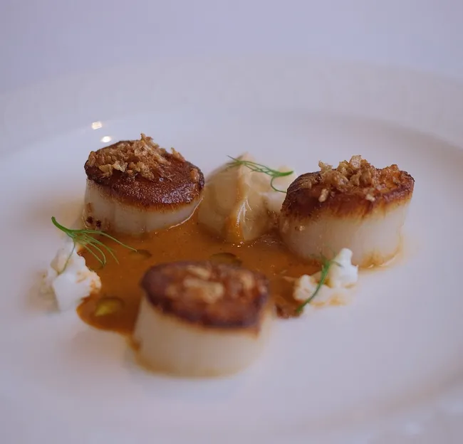 Seared scallops plated with sauce and garnishes on a white plate