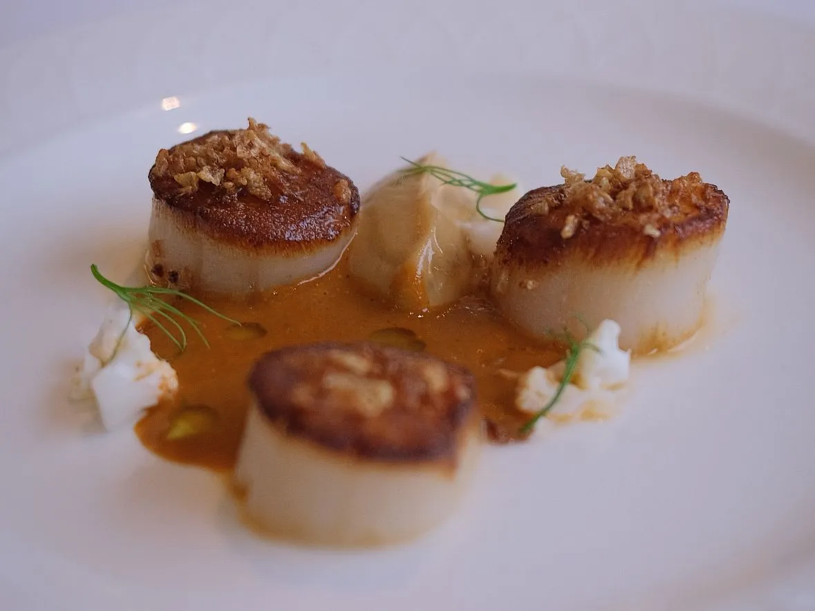 Seared scallops plated with sauce and garnishes on a white plate