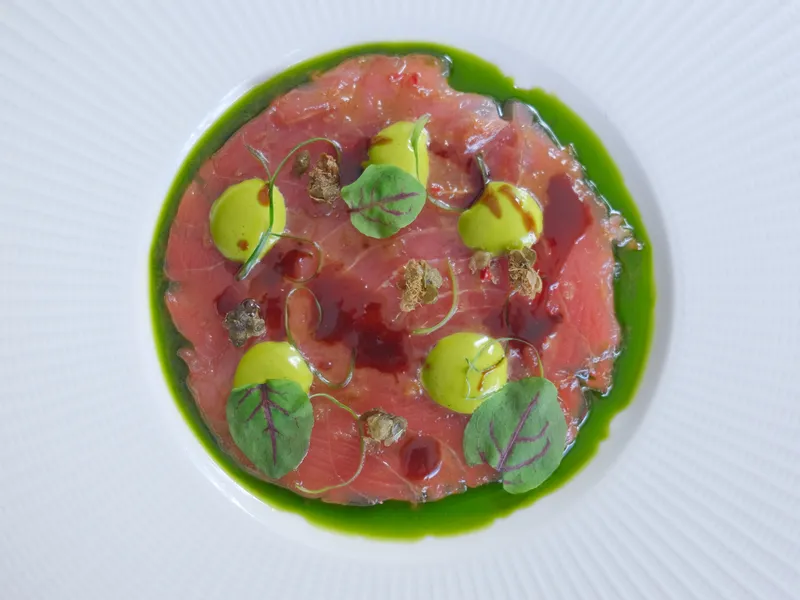 Top-down view of an elegant raw fish carpaccio plated with green herb sauce, pale green cream dollops and microgreens on a white plate.