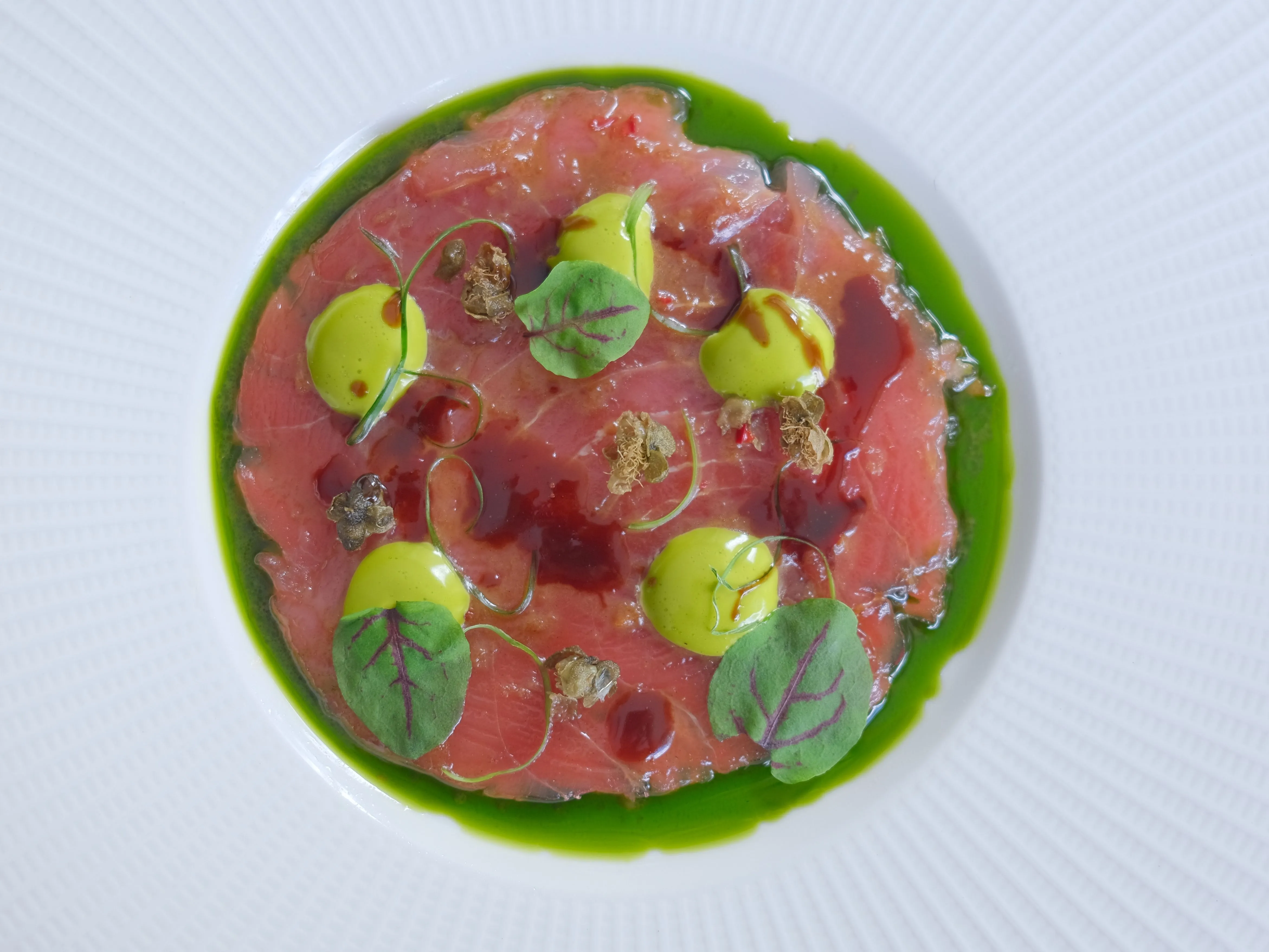Top-down view of an elegant raw fish carpaccio plated with green herb sauce, pale green cream dollops and microgreens on a white plate.