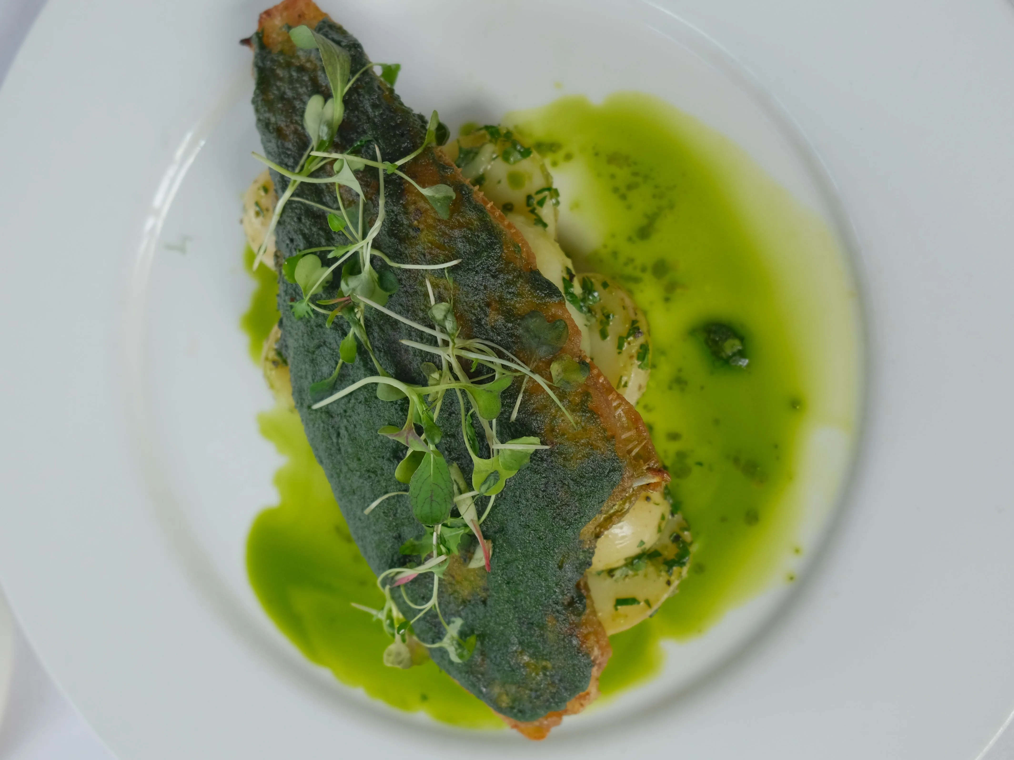 Pan-fried fish fillet with crispy skin, microgreens and bright green herb sauce on a white plate
