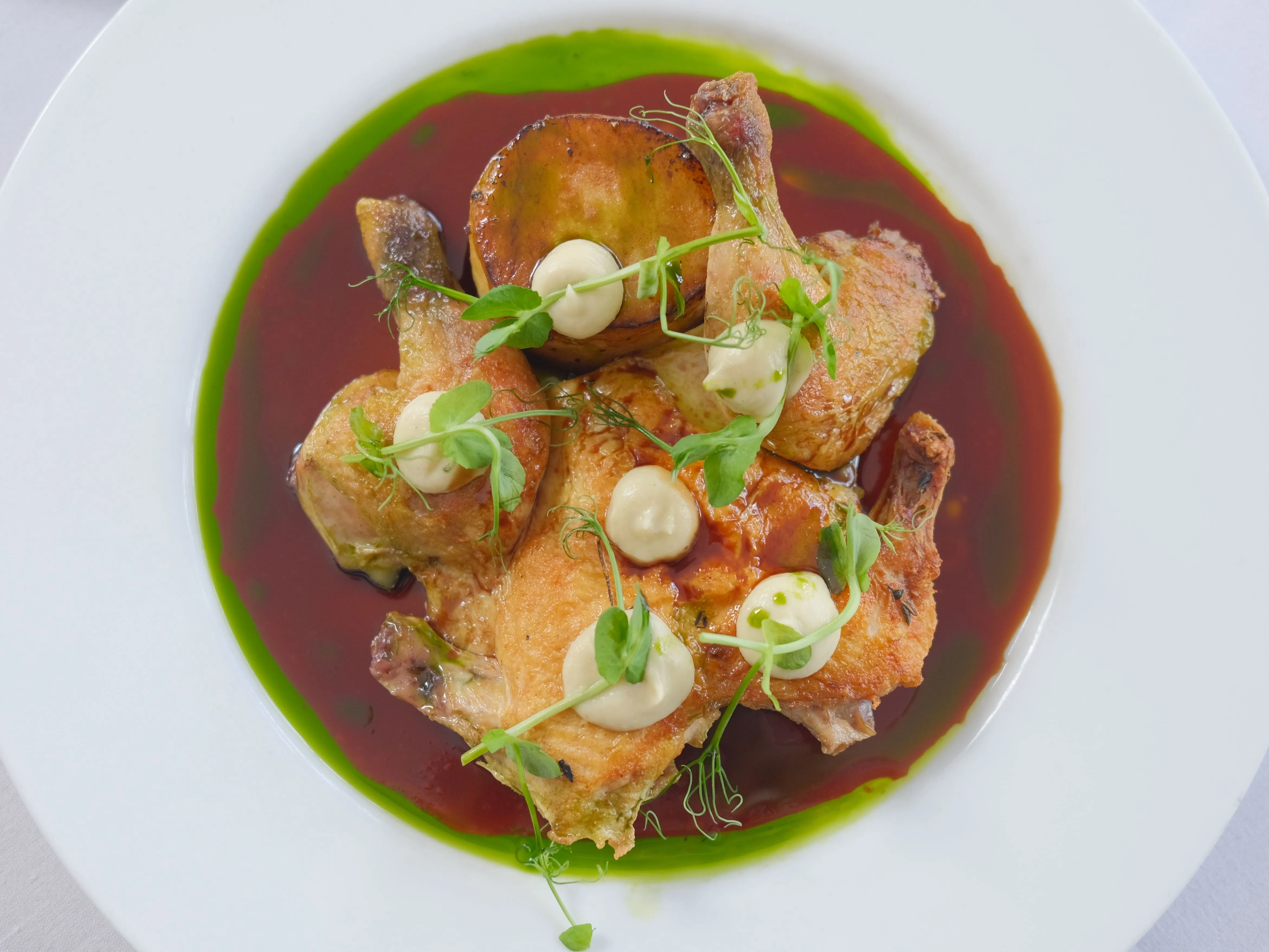 Roasted chicken pieces plated in a rich red sauce with a bright green herb oil, topped with small dollops of cream and pea shoots.