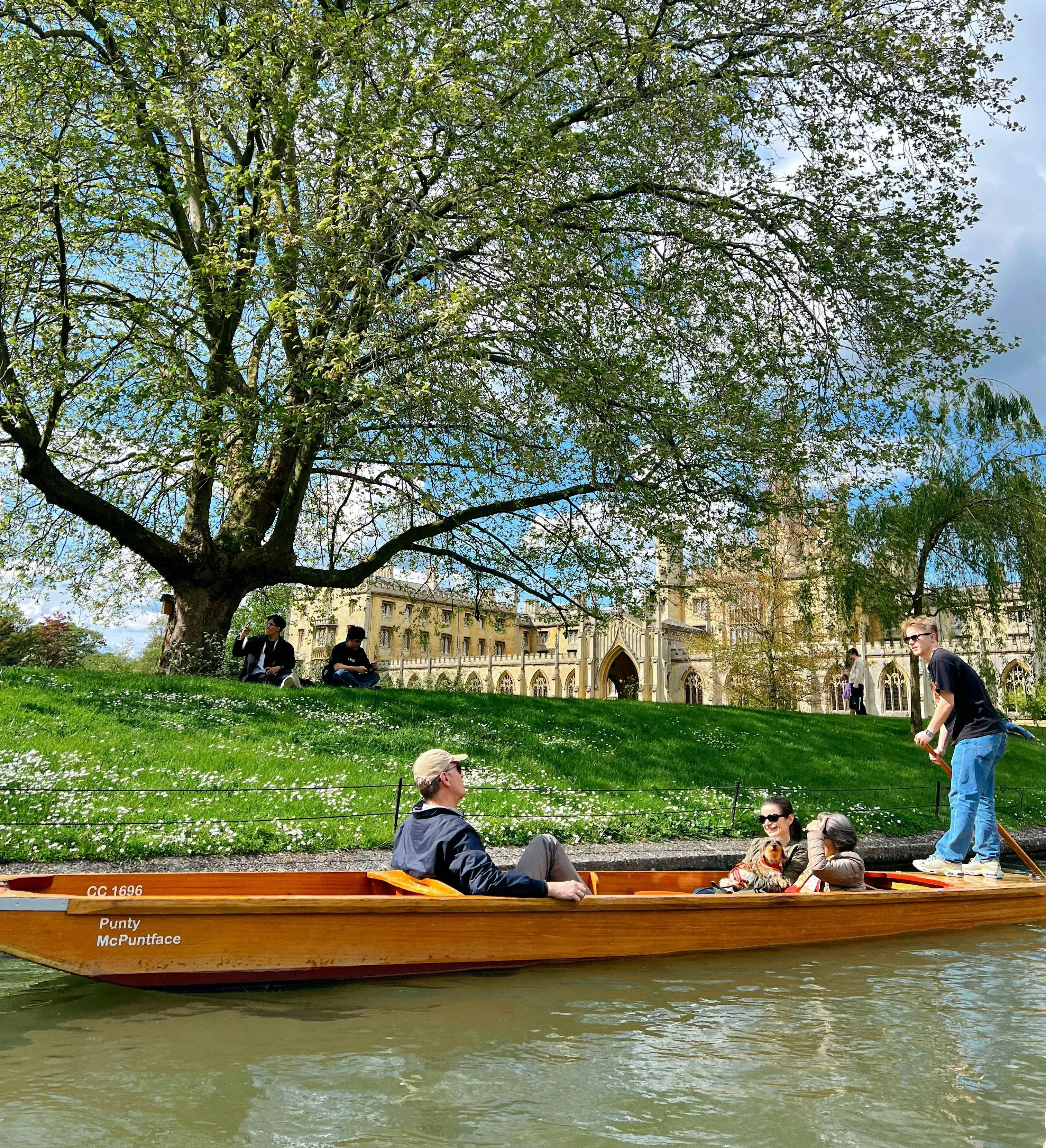 A group enjoys punting on a river in Cambridge beneath a large tree, with historic university buildings and spring blossoms in the background.