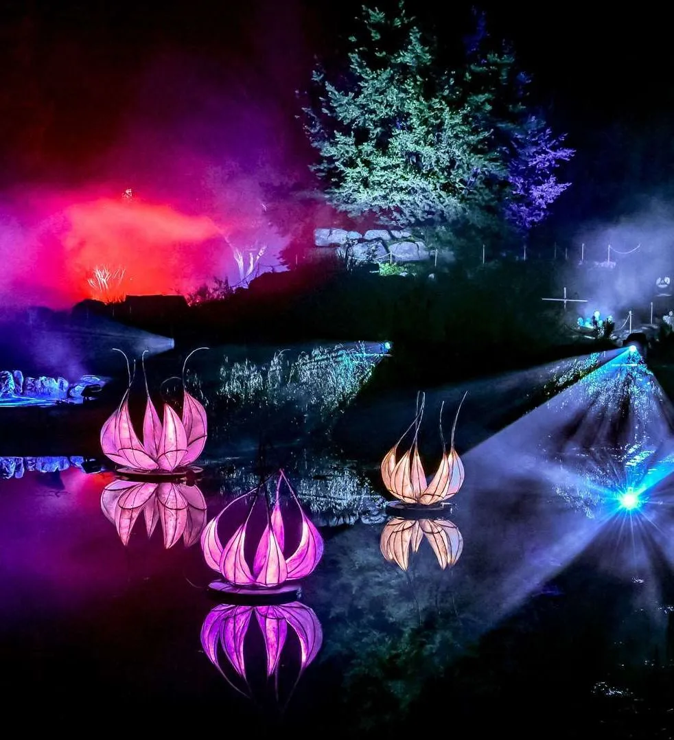 Colorful illuminated lotus flower sculptures floating on water at night, with dramatic lighting and fog effects in the background.