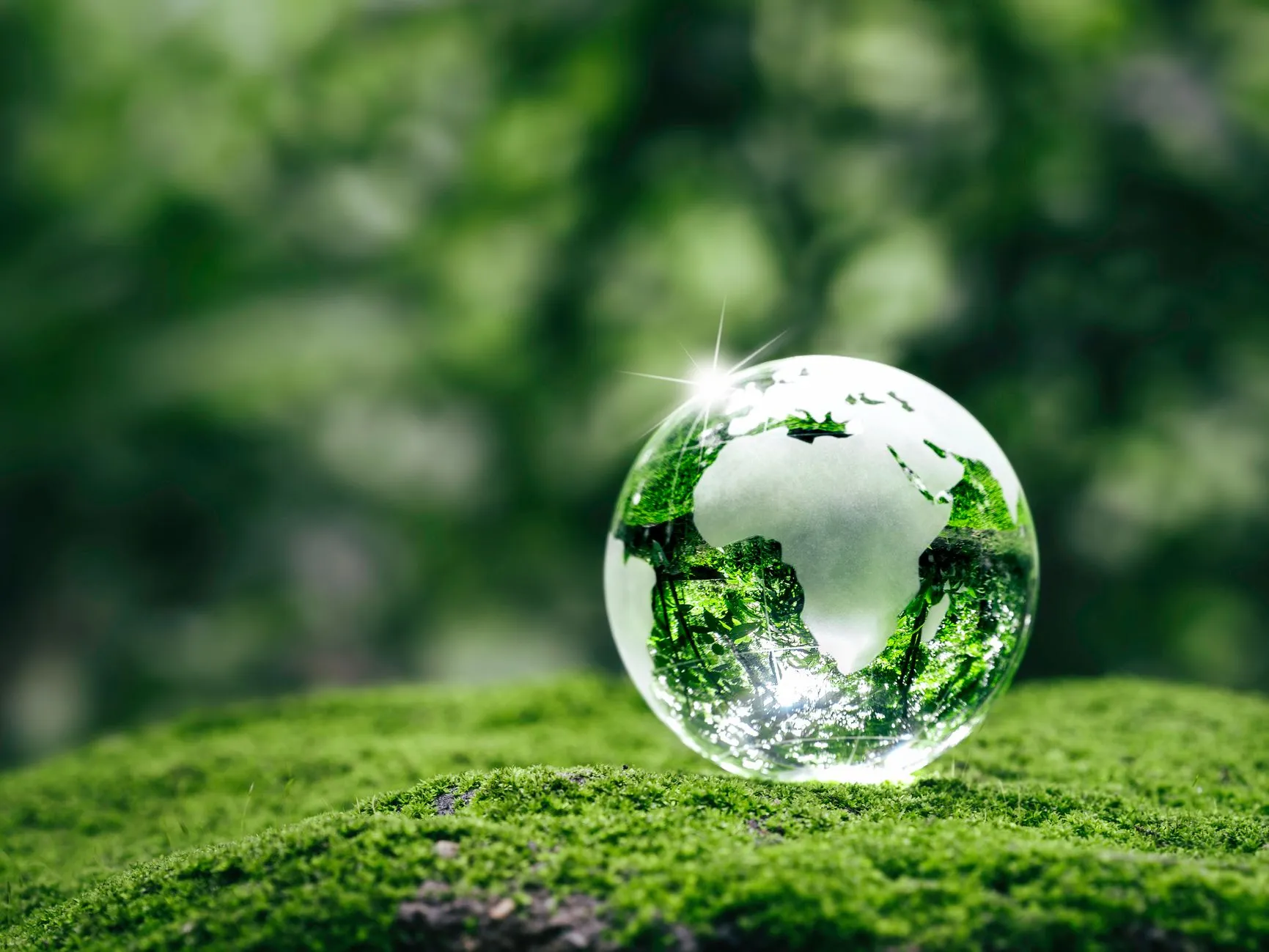Glass globe with the continents reflected in green foliage resting on moss in a forest setting