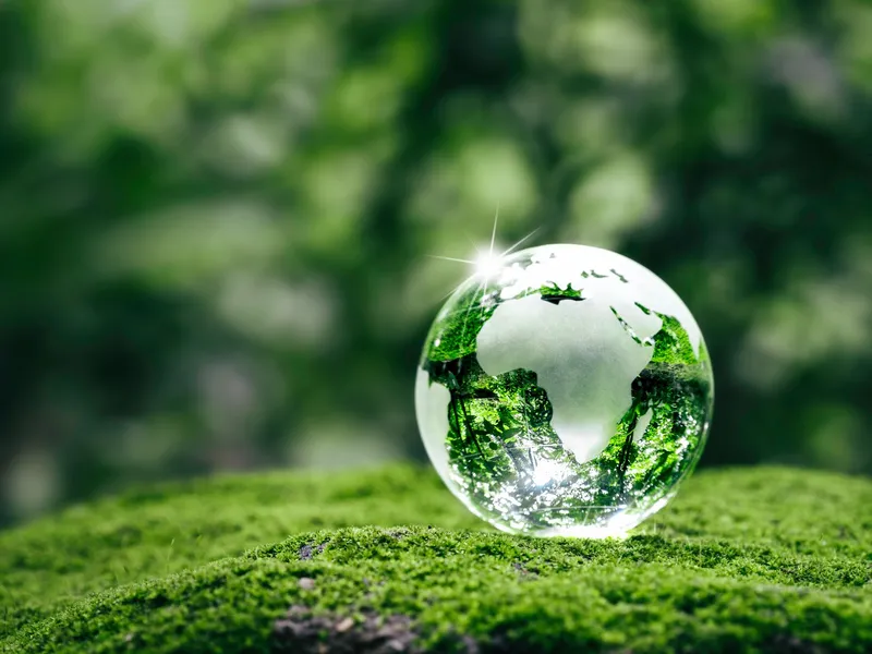 Glass globe with the continents reflected in green foliage resting on moss in a forest setting