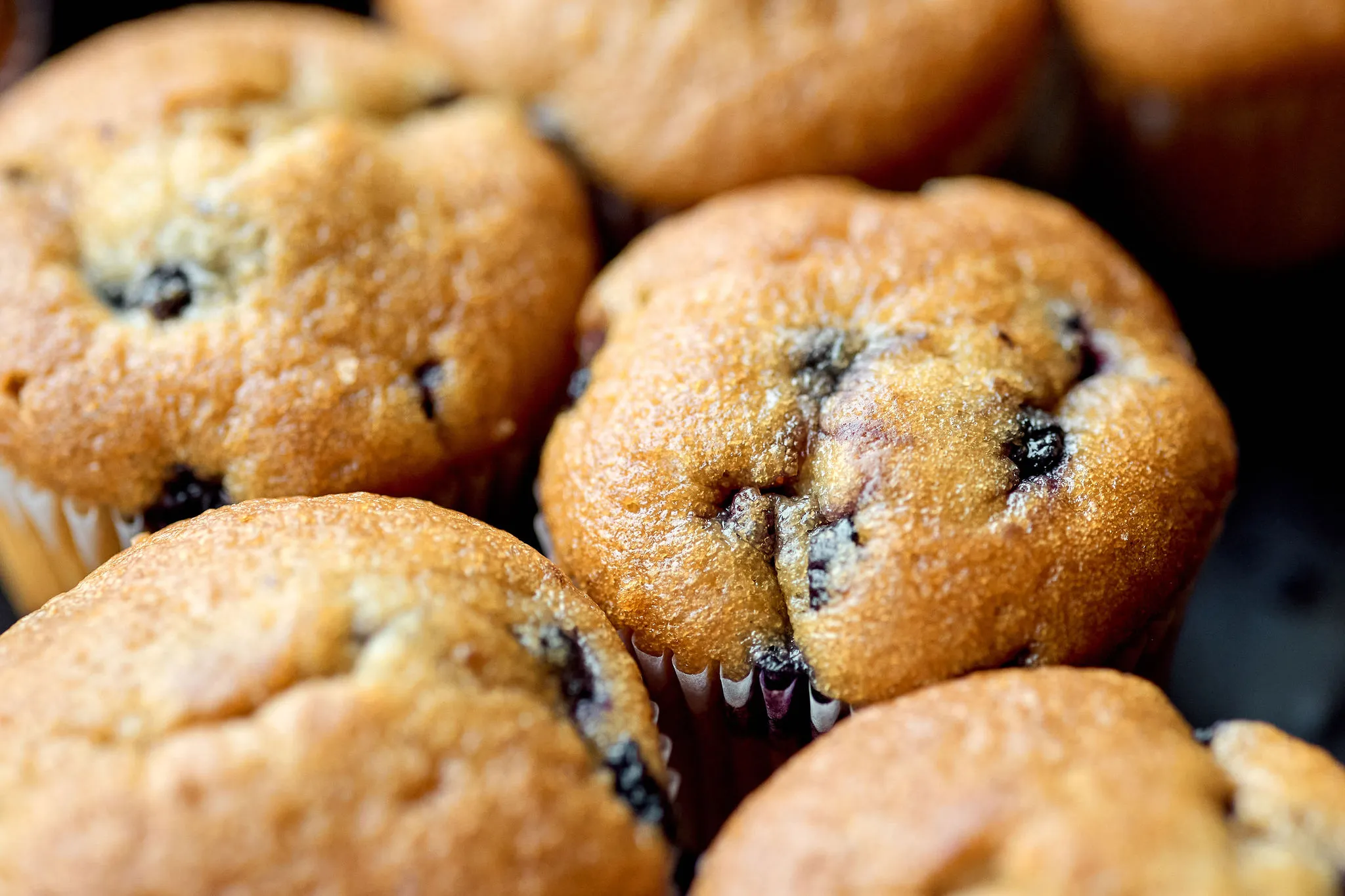 Close-up of golden blueberry muffins