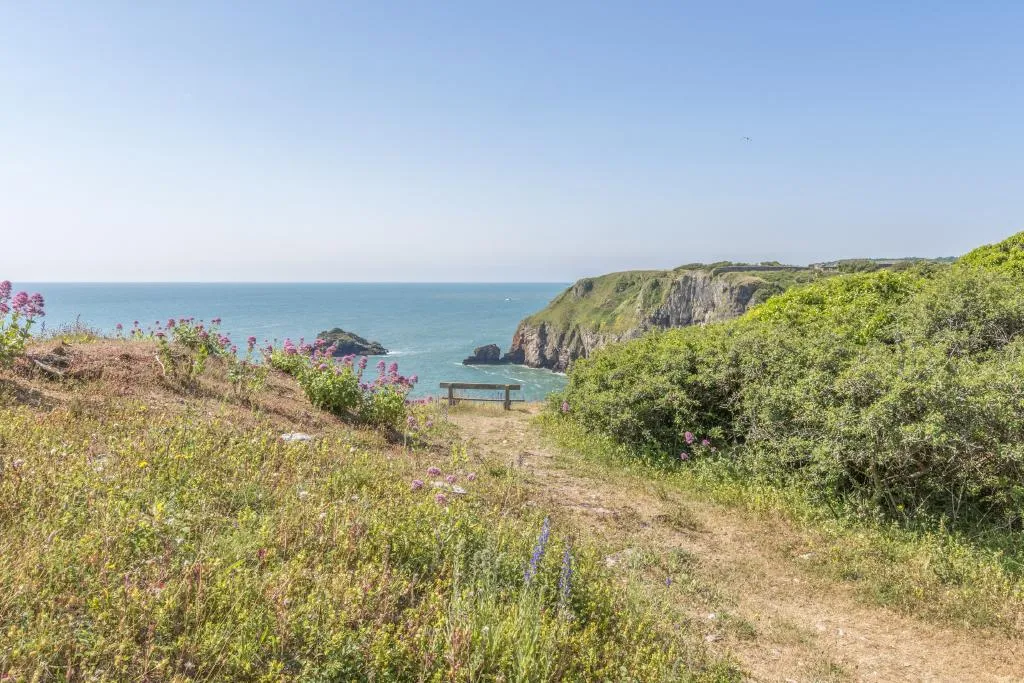 Coastal path leading to a bench overlooking sea cliffs and the ocean