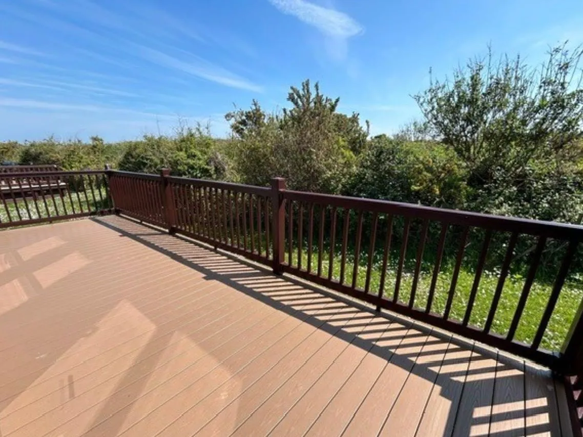 Sunlit wooden deck with dark railing overlooking green shrubs and trees