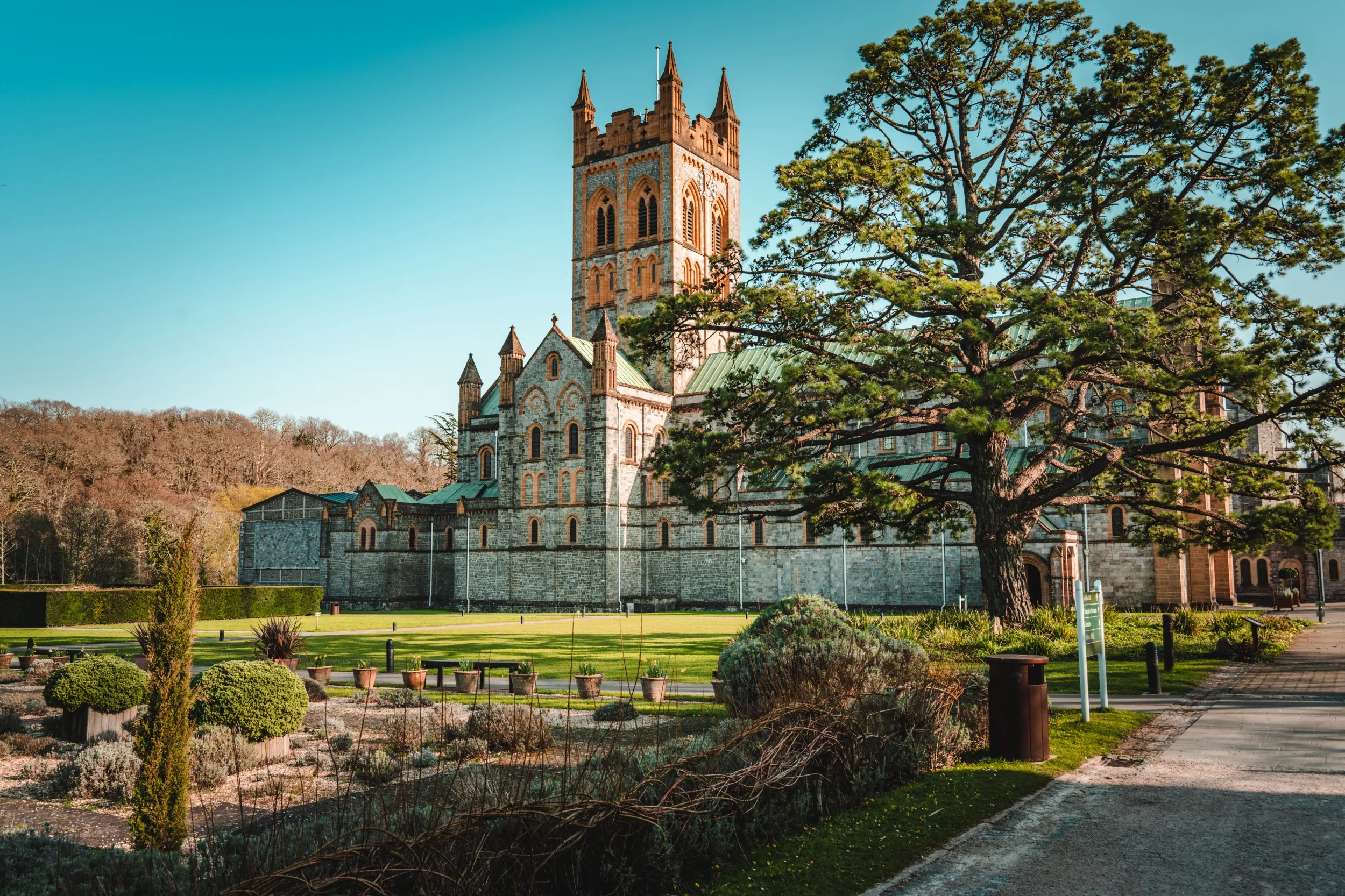 Stone abbey building with a tall tower beside a large tree on a sunny day